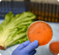 Food Inspection of Cap Enclosure